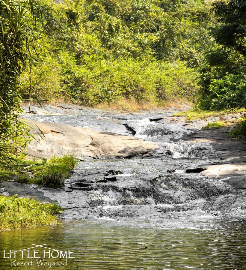 Little Home Resort Vythiri Exteriér fotografie